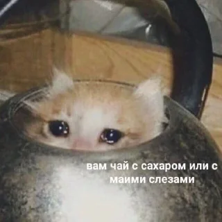 😢 emoji Мур ❤️ Telegram sticker 19 of 120