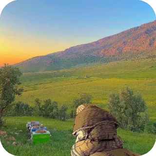🫥 emoji Мир вам и добра Telegram sticker 22 of 50