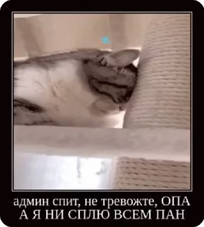 🌟 emoji Сборная солянка: @username4653 Telegram sticker 18 of 120