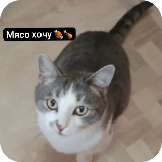 👍 emoji Супер мур Telegram sticker 9 of 58