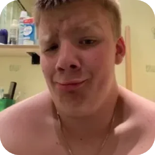 🌟 emoji Василджон Telegram sticker 5 of 33