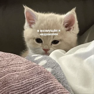 😕 emoji миу Telegram sticker 5 of 33