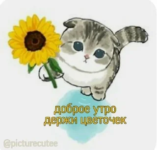 💗 emoji мяу Telegram sticker 14 of 83