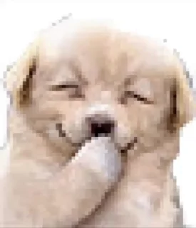 🌟 emoji миу миу Telegram sticker 10 of 82