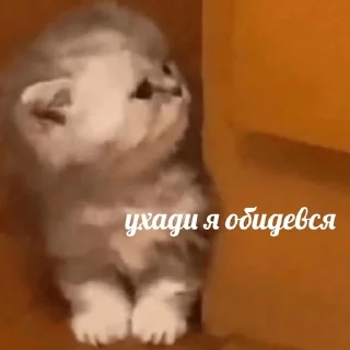😠 emoji миу Telegram sticker 15 of 33