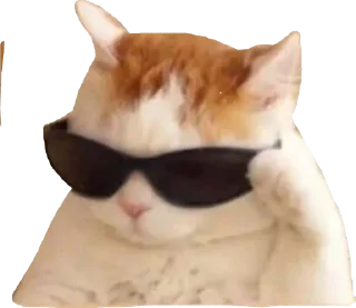 😎 emoji Мяу Please Telegram sticker 17 of 45