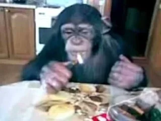 🚬 emoji бибизянки Telegram sticker 13 of 71