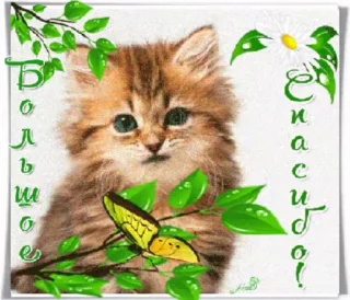 🙏 emoji ❁❁❁ тгк: @LuckyStarnwn Telegram sticker 19 of 120