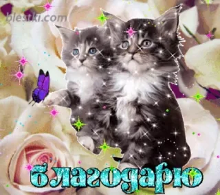 🙏 emoji ❁❁❁ тгк: @LuckyStarnwn Telegram sticker 20 of 120