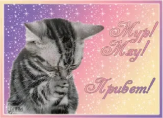 👋 emoji ❁❁❁ тгк: @LuckyStarnwn Telegram sticker 9 of 120