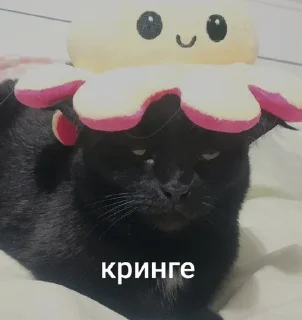🤡 emoji Люся и все-все-все Telegram sticker 19 of 118