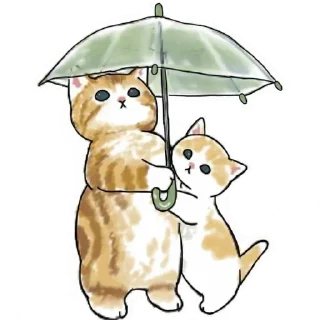 ☔ emoji Котіки❤️‍🔥 Telegram sticker 20 of 73