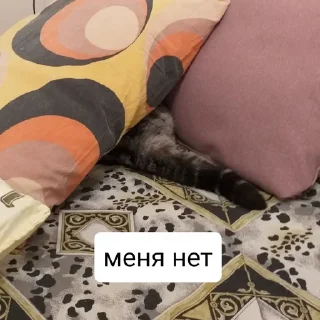 🙈 emoji Тифаня Telegram sticker 23 of 24