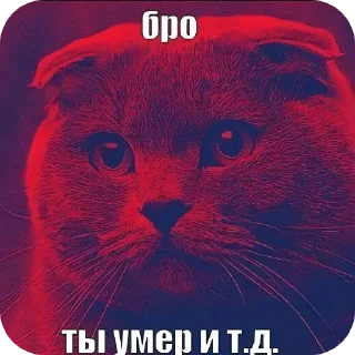 🐱 emoji Мини Блю Лок @OuterOT Telegram sticker 24 of 24
