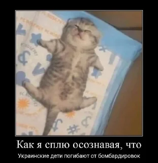 ☺️ emoji @ktupidboysandgirls котятки Telegram sticker 14 of 58