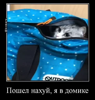 🌟 emoji Лудокотик Telegram sticker 13 of 119