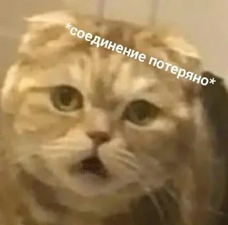 🤓 emoji zhiznennyememynavsesluchaizhizni Telegram sticker 24 of 67