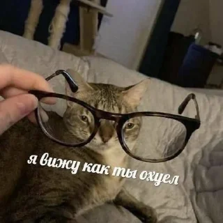 🌟 emoji На все случаи жизни Telegram sticker 13 of 28