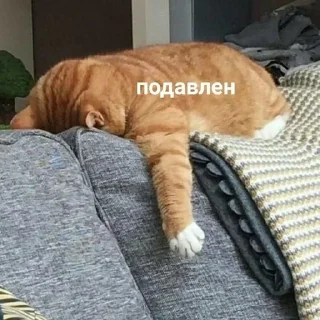 ☹️ emoji на все случаи жизни Telegram sticker 15 of 53