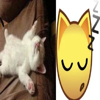 🌟 emoji котеке Telegram sticker 9 of 28