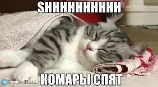 🌟 emoji Комаруния Telegram sticker 19 of 24