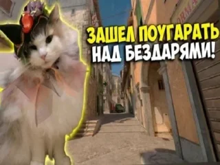 Sticker from Комаруния