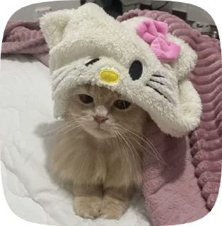 🌟 emoji kittens🫀🫂 Telegram sticker 17 of 52