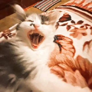 🤯 emoji Бусинка Telegram sticker 6 of 16