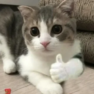 👍 emoji Спешел фор ми пон Telegram sticker 2 of 32