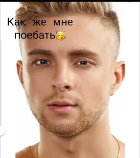 🌟 emoji Пенис бобра Telegram sticker 5 of 25