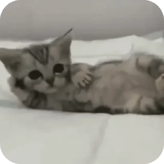 🐱 emoji пупсечки @vikusyafell Telegram sticker 22 of 50