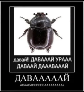 Sticker from да шоб тебя каток переехал блядина
