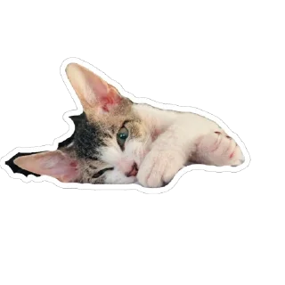 🥰 emoji Айоська Telegram sticker 5 of 14