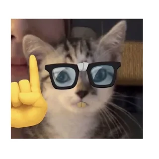 🤓 emoji Муд Telegram sticker 6 of 42