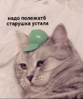 🌟 emoji Мой муд Telegram sticker 5 of 40