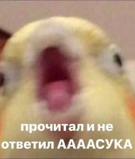 🌟 emoji Мой муд Telegram sticker 11 of 40