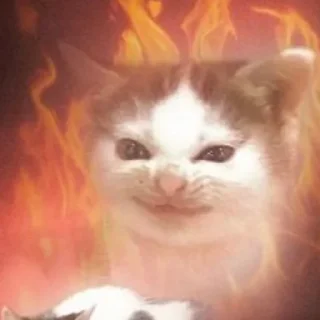 🍮 emoji глупое Telegram sticker 20 of 49