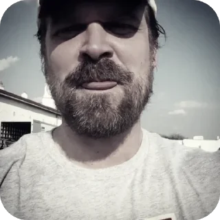 🫥 emoji David Harbour fr Telegram sticker 24 of 38