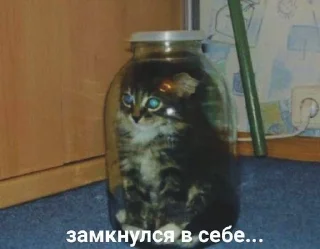 🫙 emoji геньг бенгь Telegram sticker 8 of 9