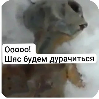 Sticker from Хуево , это мой стикер пак