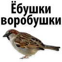 😔 emoji The Best Stickers @stickersb2b Telegram sticker 16 of 117