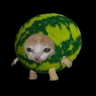 🍉 emoji мил пон чел эм Telegram sticker 14 of 26
