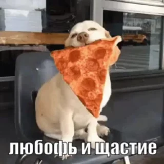 🍕 emoji Больше стикеров в @stikerfox Telegram sticker 22 of 30