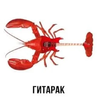 🌟 emoji мем Telegram sticker 18 of 120