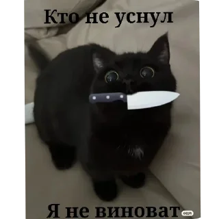 🐱 emoji Mem Pack • @TgStickery Telegram sticker 23 of 98