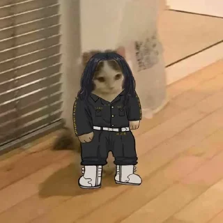 🐱 emoji Мем коты Telegram sticker 20 of 116