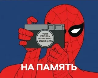 📷 emoji SPIDER MEM • @TgStickery Telegram sticker 21 of 32