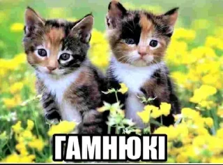 🌟 emoji потужний пак by @macaqabizyan Telegram sticker 16 of 92