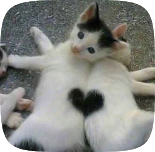 🥰 emoji мы!! Telegram sticker 16 of 50