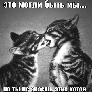 💞 emoji дайте танк(!) моя семья Telegram sticker 20 of 24